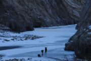 Trek du Chadar 3