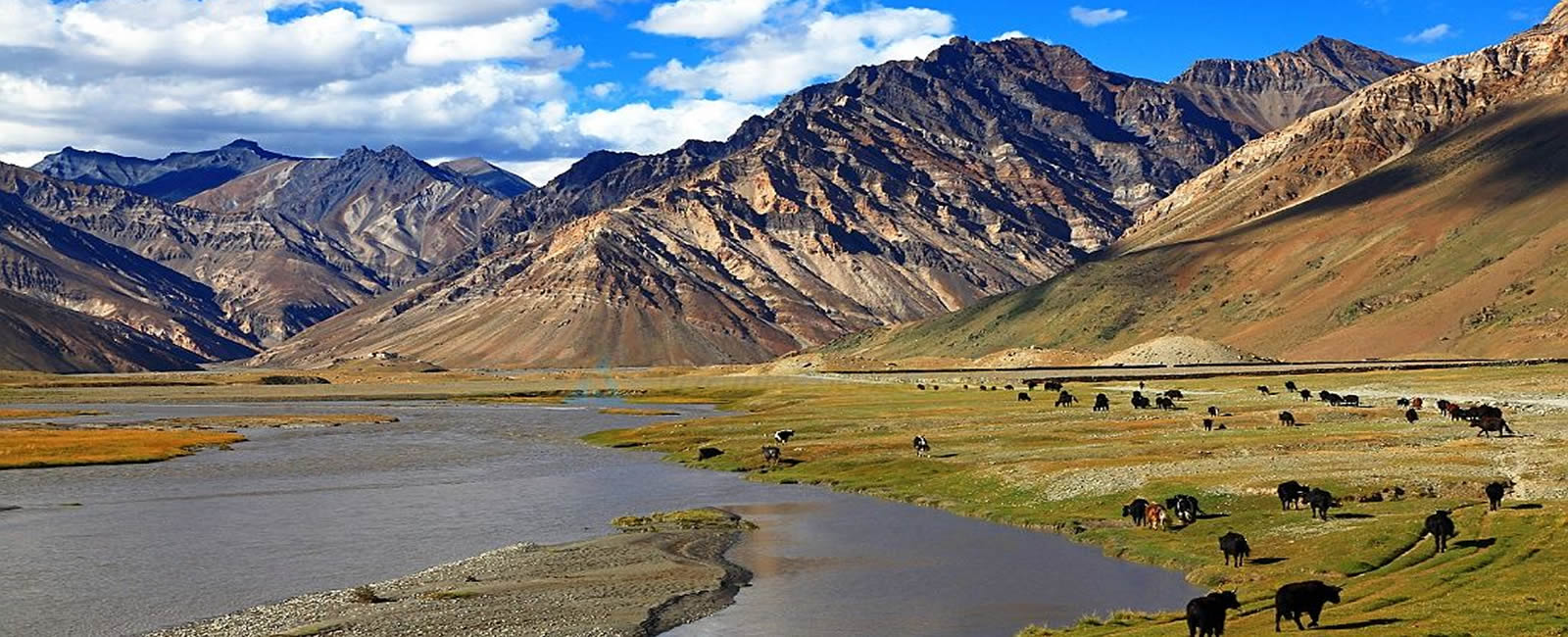 Trek de la Vallée du Zanskar 1